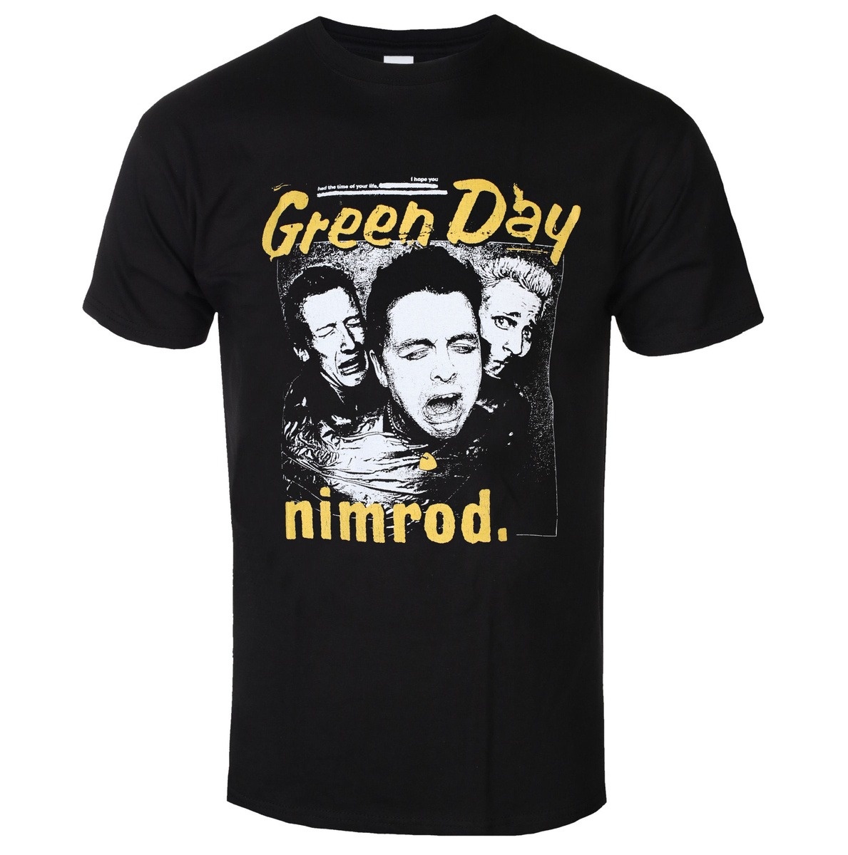 Band Tee Faded 90S - Koszulka z nadrukiem członków zespołu Green